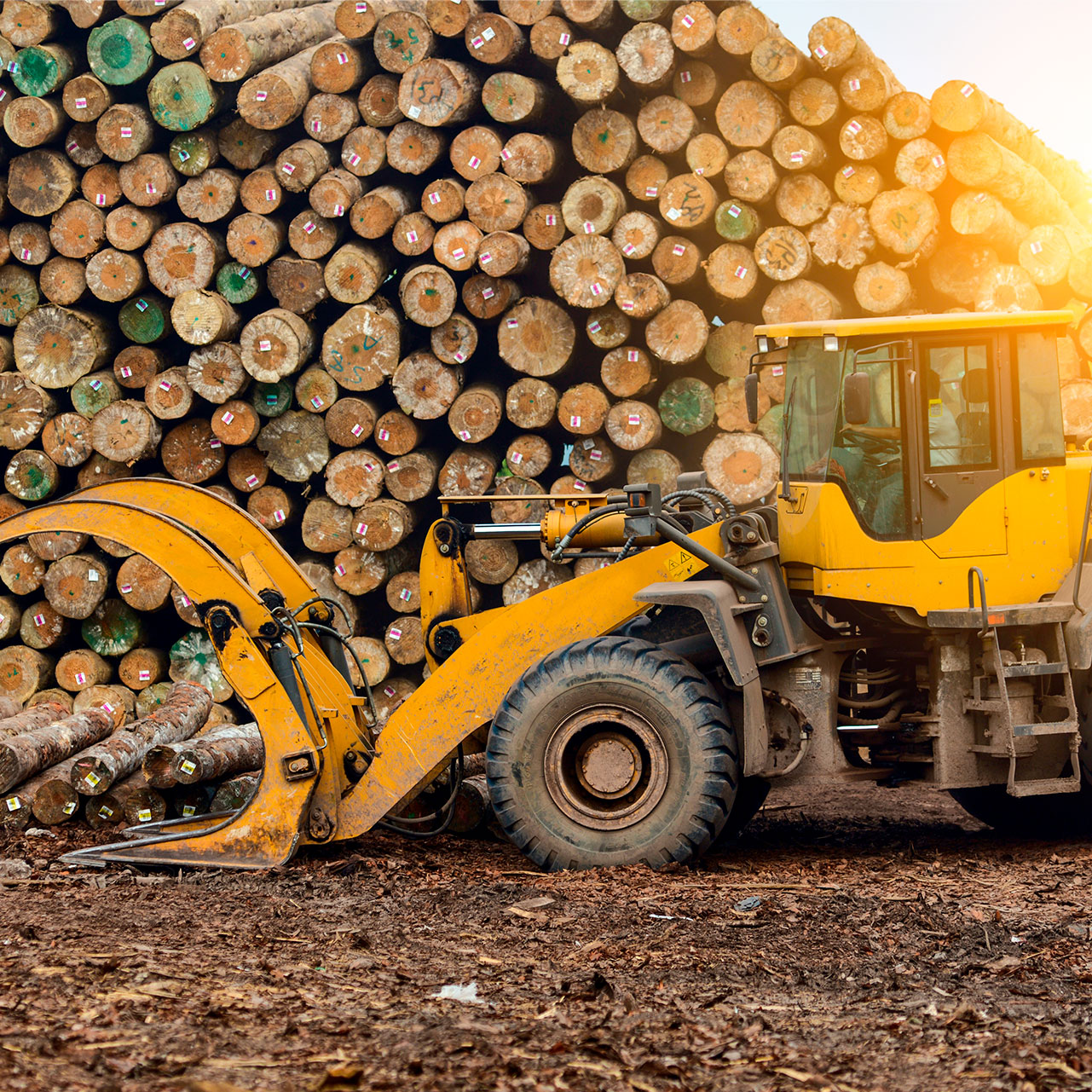 compra venta de maquinaria